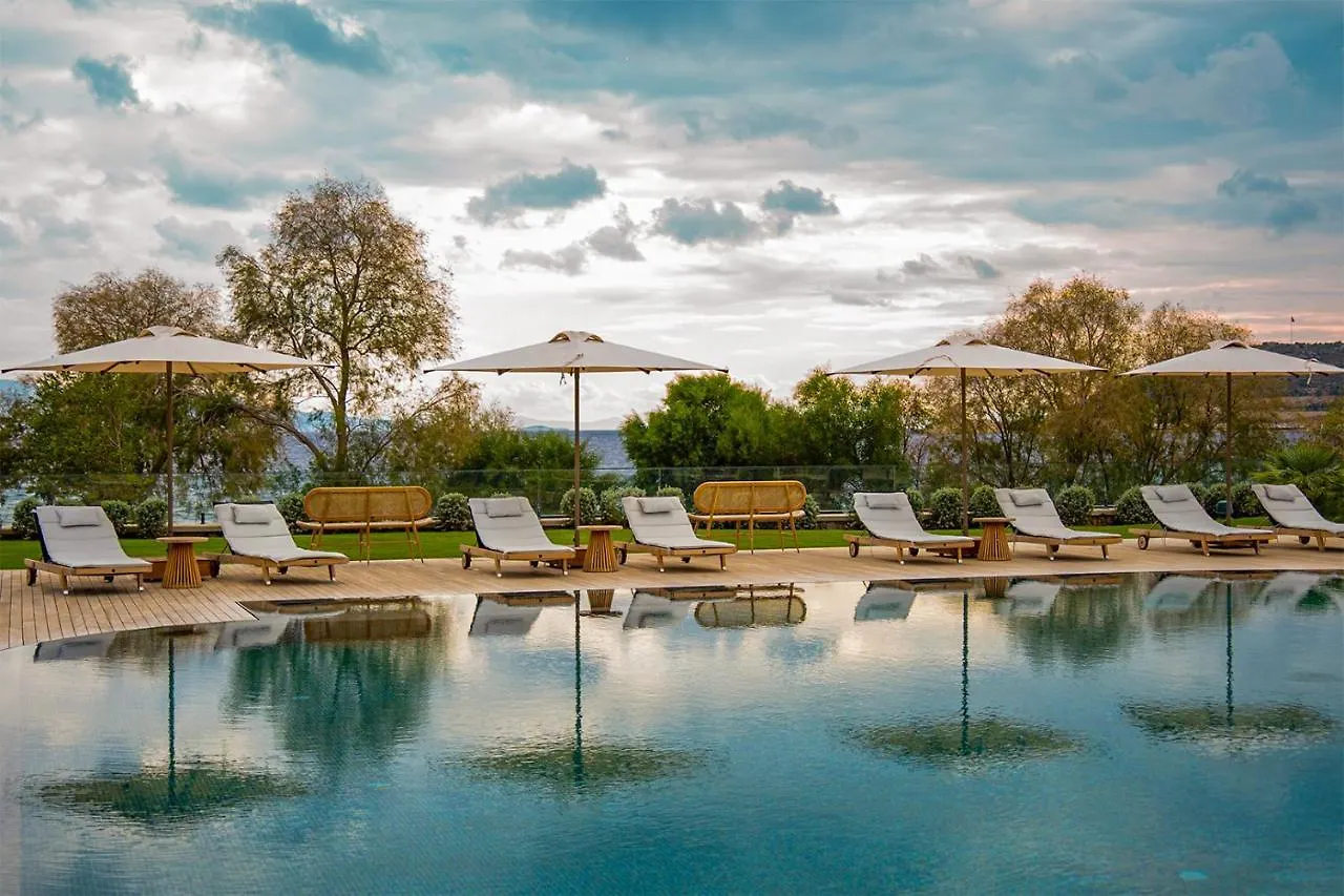 Palaia Hotel 닷차 터키