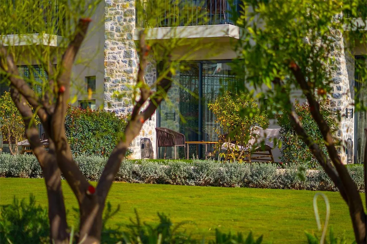 Palaia Hotel 닷차
